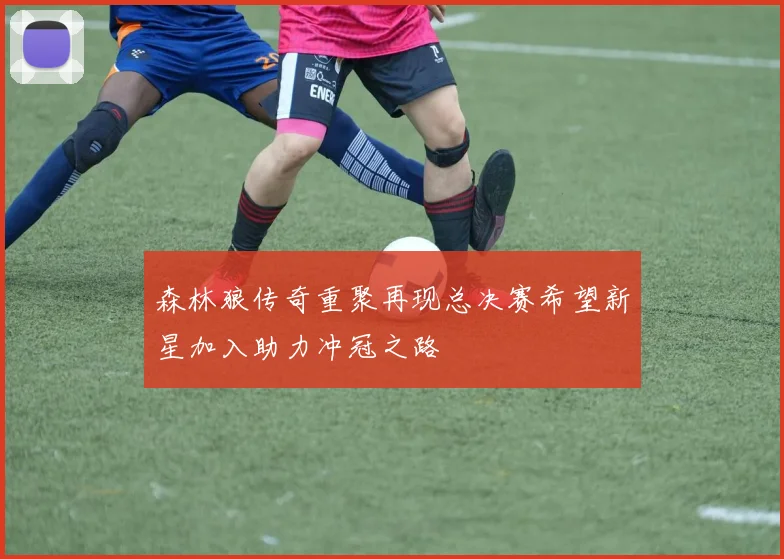 森林狼传奇重聚再现总决赛希望新星加入助力冲冠之路